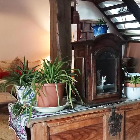 Suite En Cuadra Pajar, Casa Rural Hoz de Jaca Kültér fotó
