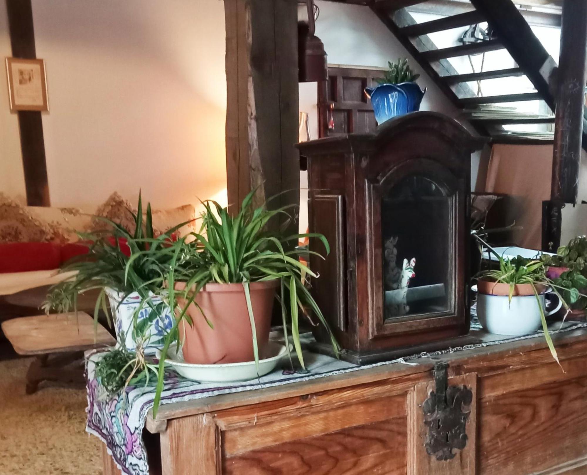 Suite En Cuadra Pajar, Casa Rural Hoz de Jaca Kültér fotó